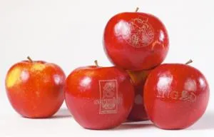 Rode appel met gegraveerd logo