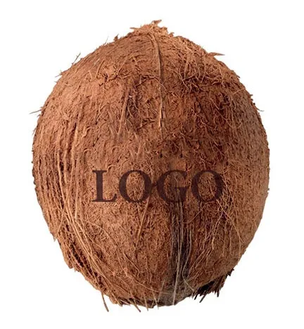 Kokosnoot met gelaserd logo in de schil