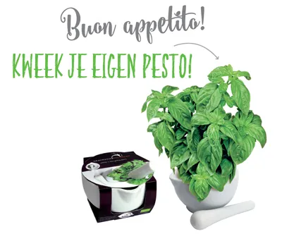 Vijzel met kruidenplantjes en bedrukte wikkel