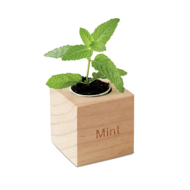 Houten kubuspot met muntplantje