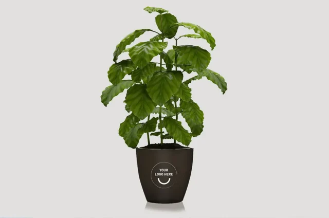 Bloempot van koffieresten met plant
