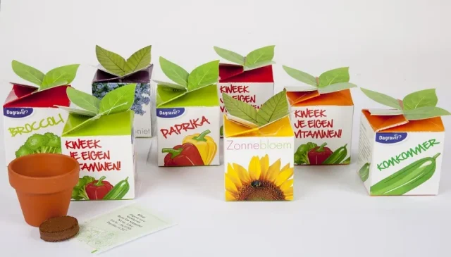 Kubusvormig doosje met blaadjes als sluiting