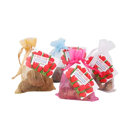 Organza zakje met tulpenbollen en kaartje