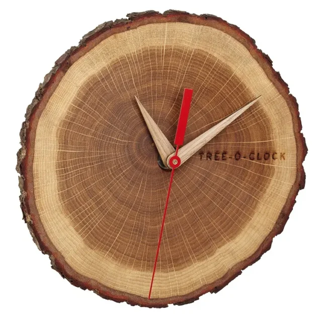 Wandklok van een plak eikenhout met schors