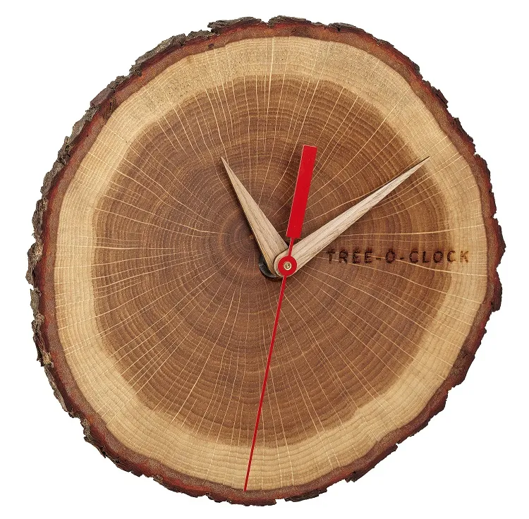Wandklok van een plak eikenhout met schors