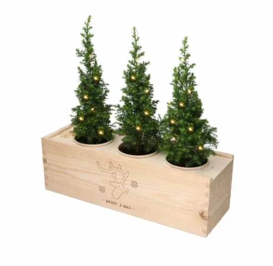 Drie verlichte kerstboompjes in een doos
