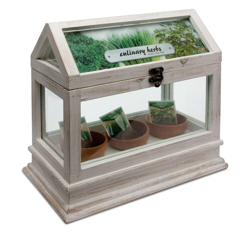 Miniserre met drie terracotta potjes voor keukenkruiden