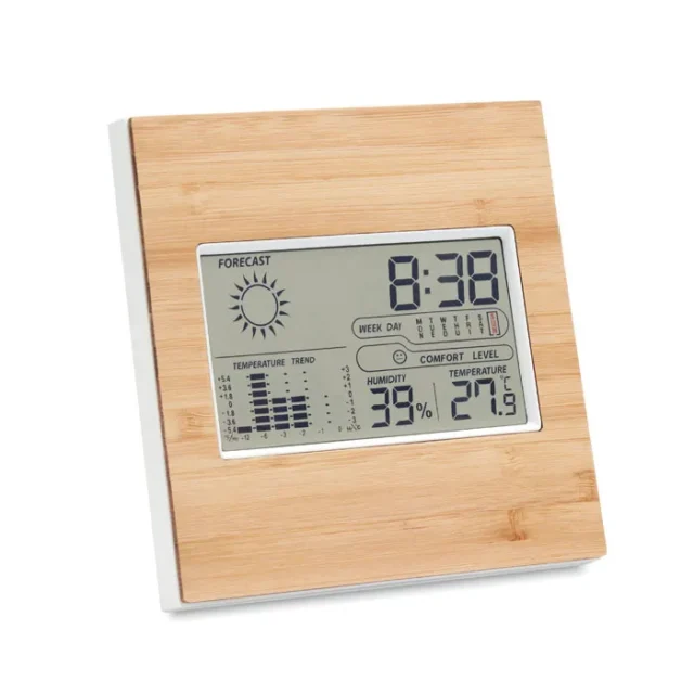 Weerstation met bamboe front