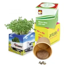 Kubusvormige plantenkweekset met papieren beker