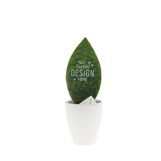 Baby sansevieria met bedrukt blad