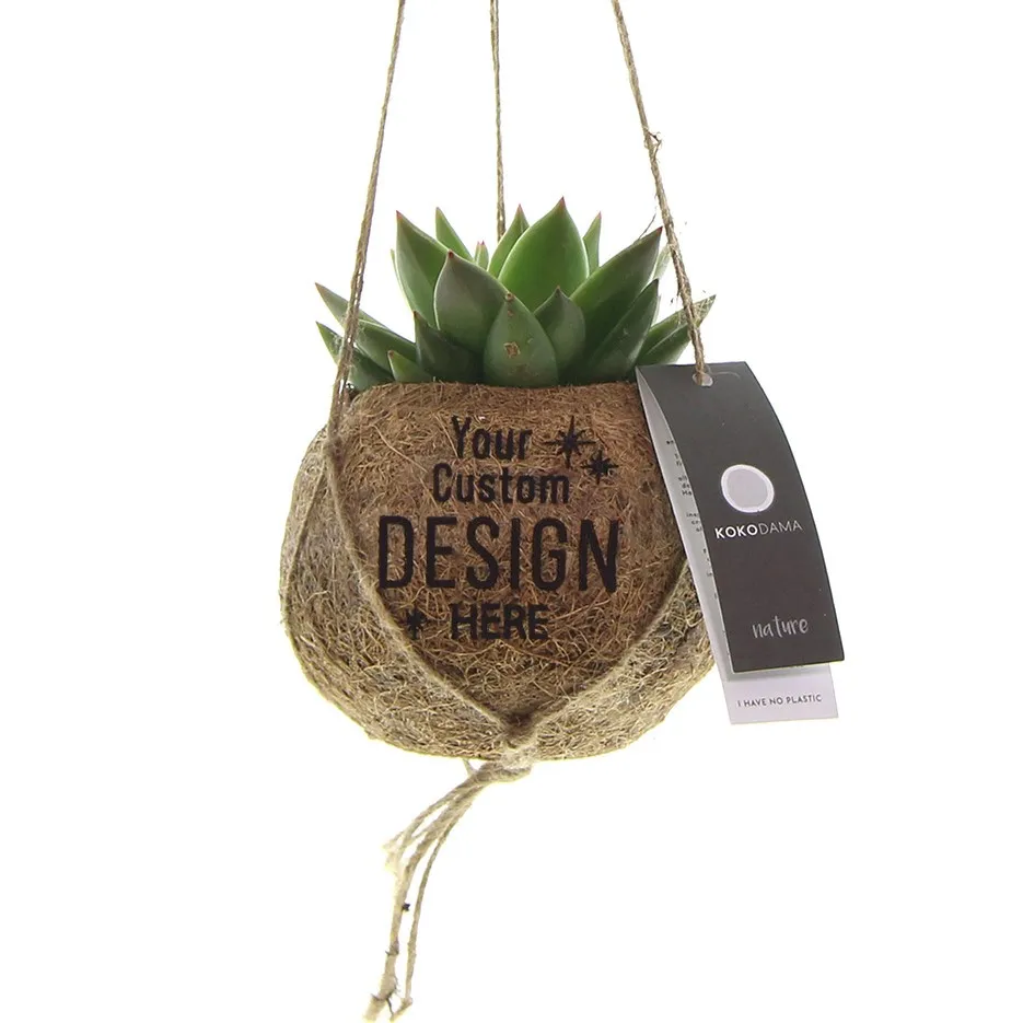 Kleine Kokodama met een mix van vetplanten