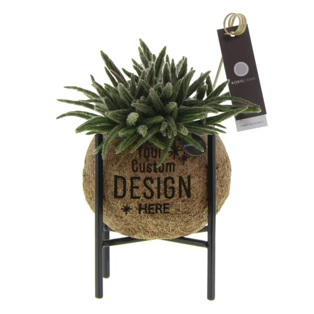 Middelgrote Kokodama met industrial mix planten
