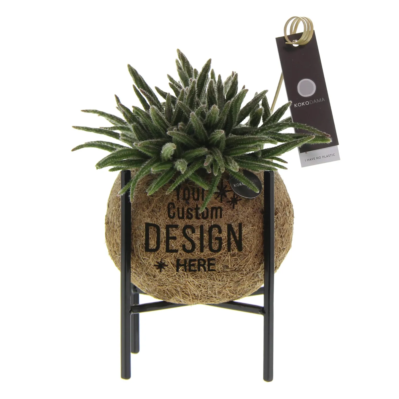 Middelgrote Kokodama met industrial mix planten