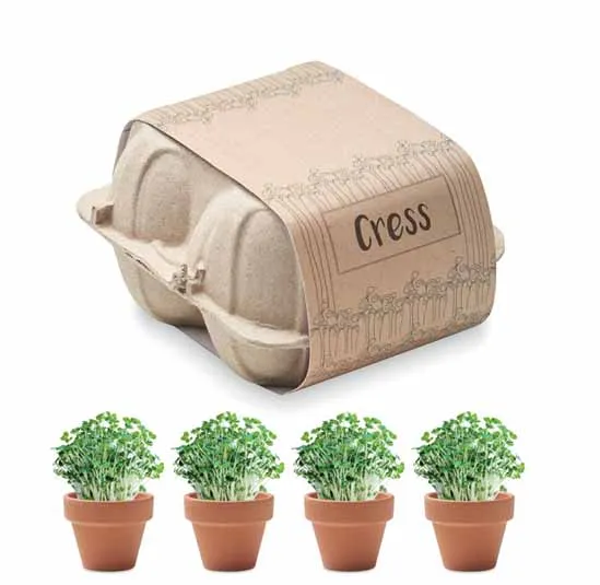 Eierdoos met vier terracotta potjes en tuinkerszaden
